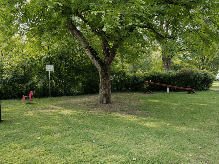 DS309 Spielplatz