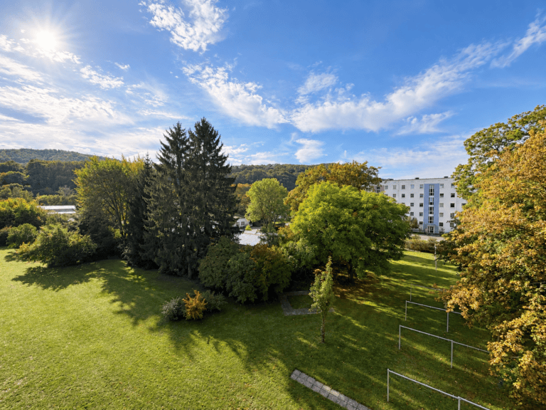 DS299f Balkonblick